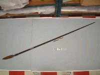 藏品(槍)的圖片